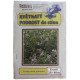 Květnatý podrost do stínu - semena Planta Naturalis - směs - 40 g