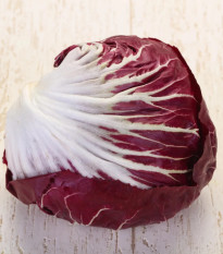 Cykoria Radicchio Indigo F1 – Cichorium intybus – sprzedaż nasion – 20 szt.