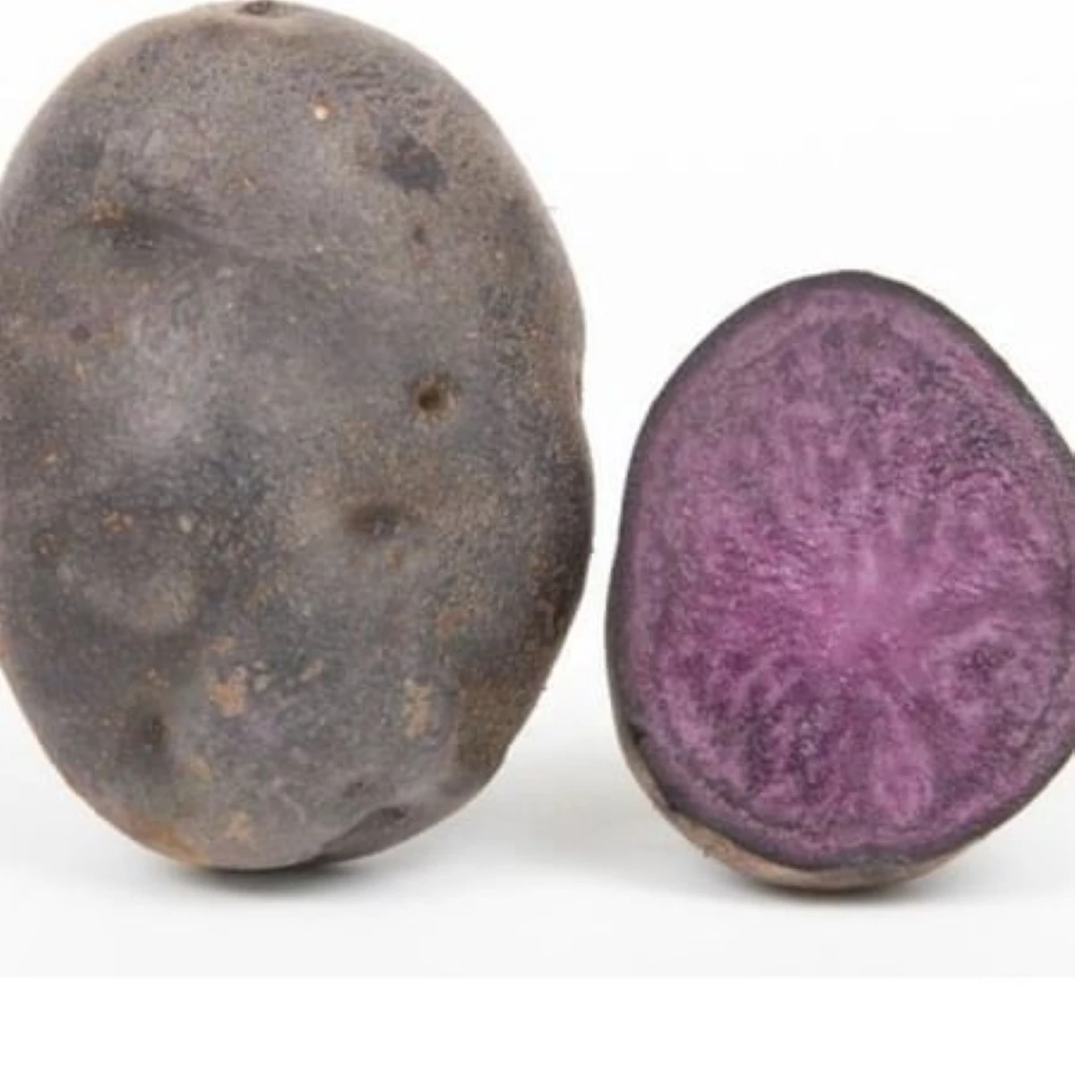 Ziemniaki sadzeniaki Violet Star – sadzeniaki fioletowych ziemniaków