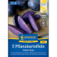 Ziemniaki sadzeniaki Violet Star – sadzeniaki fioletowych ziemniaków