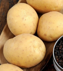 BIO ziemniaki sadzeniaki Afra – sprzedaż sadzeniaków w jakości BIO