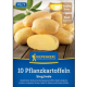 Sadzeniakowe ziemniaki Sieglinde – sadzeniaki wczesnych ziemniaków