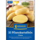 Sadzeniakowe ziemniaki Cilena – sadzeniaki wczesnych ziemniaków