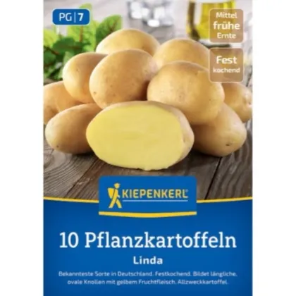 Sadzeniaki ziemniaka Linda – sadzeniaki ziemniaków