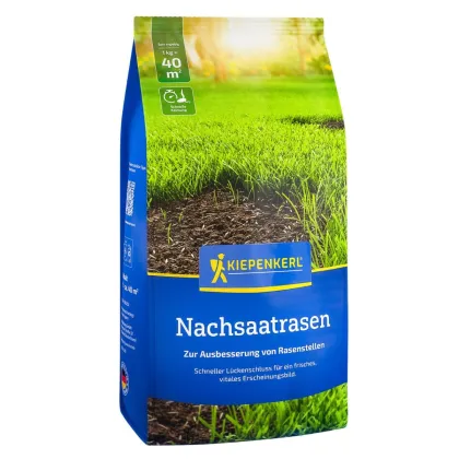 Trawnik regeneracyjny - nasiona Kiepenkerl - mieszanka - 1 kg