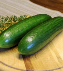 Miniogórek sałatkowy La Diva – Cucumis sativus – nasiona ogórka – 8 szt.