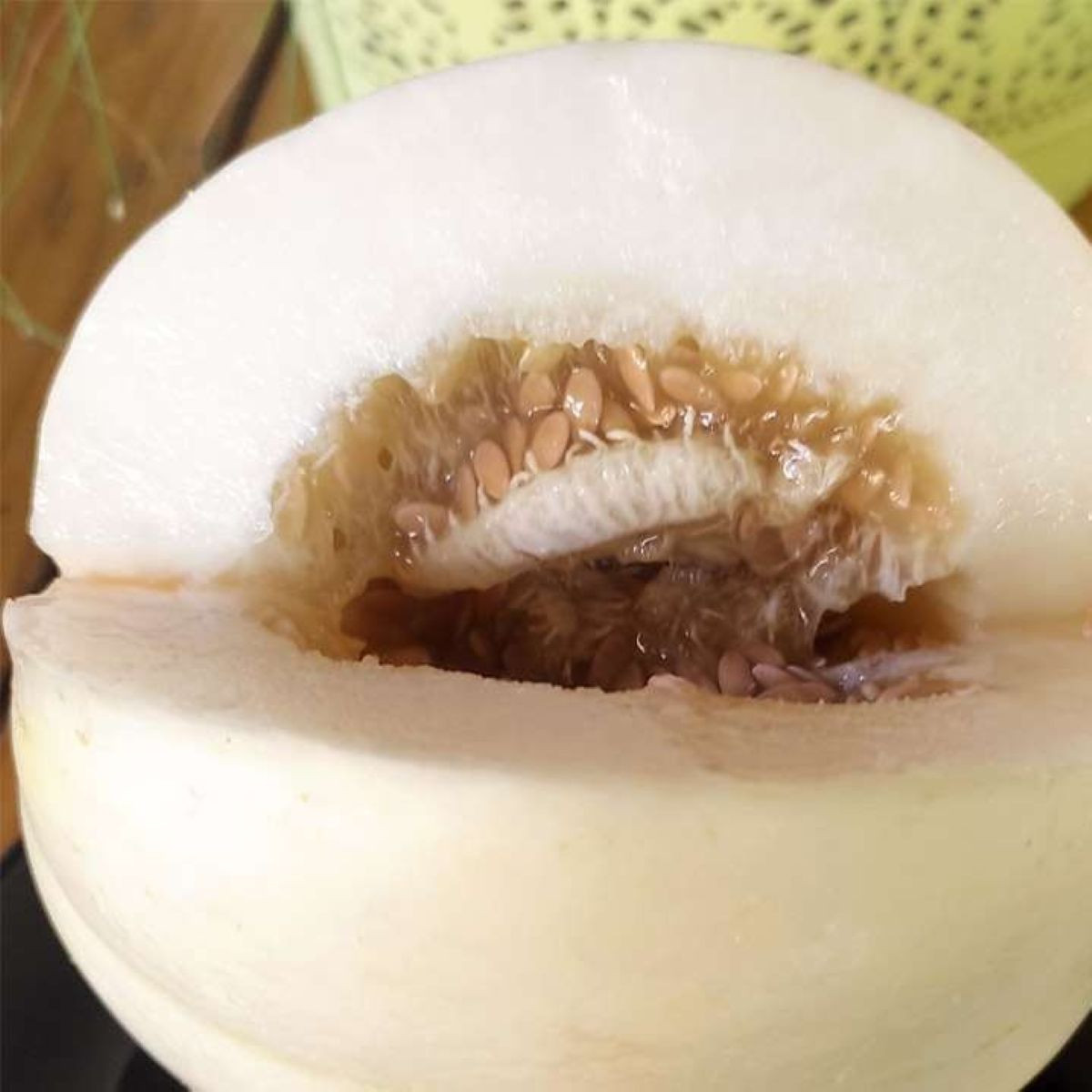 Nasiona melona – Melon cukrowy Kiku – Cucumis melo