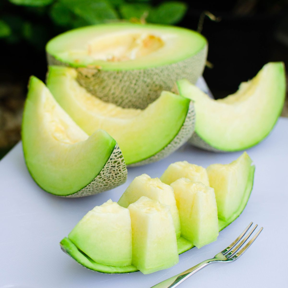 Nasiona melonów – Melon Tenor F1 – Cucumis melo