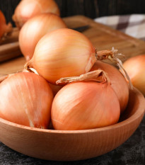 Cebula zimowa Augusta - Allium cepa - nasiona cebuli - 250 szt.