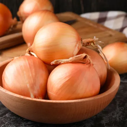 Cibule ozimá Augusta - Allium cepa - semena cibule - 250 ks