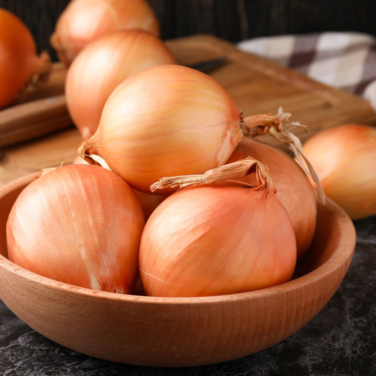 Cebula zimowa Augusta - Allium cepa - nasiona cebuli - 250 szt.