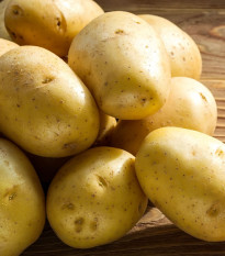 Sadbové brambory Princess - Solanum tuberosum - 5 kg