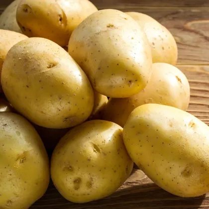 Ziemniaki sadzeniaki Princess - Solanum tuberosum - 5 kg