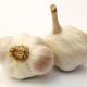 Czosnek sadzeniowy Japo II - Allium sativum - niestrzałkujące - cebula czosnku - 1 opakowanie