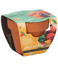 Mini zestaw do uprawy papryczki chili – Buzzy Grow Gifts – Pieterpik