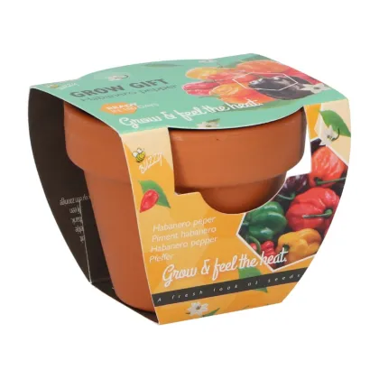 Mini zestaw do uprawy papryczki chili – Buzzy Grow Gifts – Pieterpik