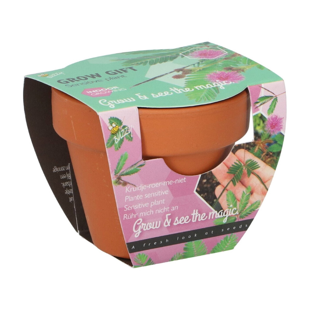 Mini zestaw do uprawy mimozy wstydliwej – Buzzy Grow Gifts – Pieterpik