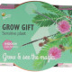 Mini zestaw do uprawy mimozy wstydliwej – Buzzy Grow Gifts – Pieterpik