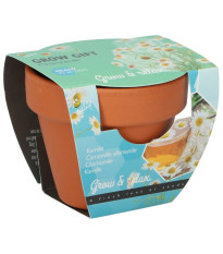 Mini zestaw do uprawy rumianku – Buzzy Grow Gifts – Pieterpik