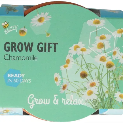 Mini zestaw do uprawy rumianku – Buzzy Grow Gifts – Pieterpik