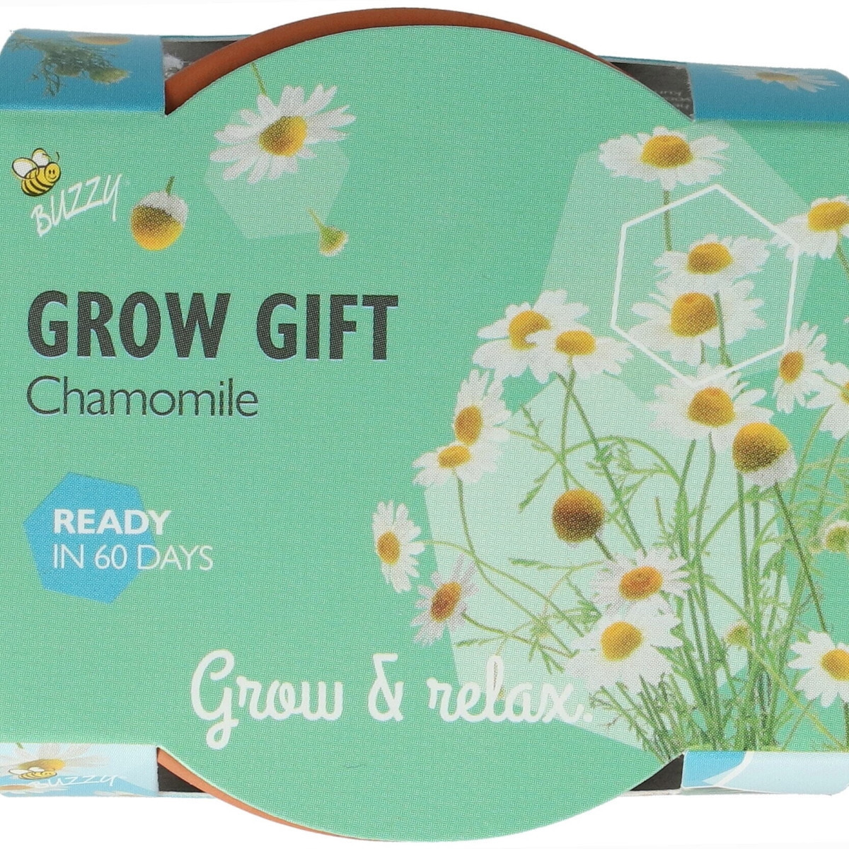Mini zestaw do uprawy rumianku – Buzzy Grow Gifts – Pieterpik