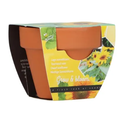 Mini zestaw do uprawy słonecznika – Buzzy Grow Gifts – Pieterpik