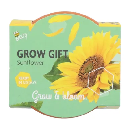 Mini zestaw do uprawy słonecznika – Buzzy Grow Gifts – Pieterpik