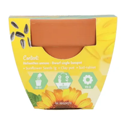 Mini zestaw do uprawy słonecznika – Buzzy Grow Gifts – Pieterpik