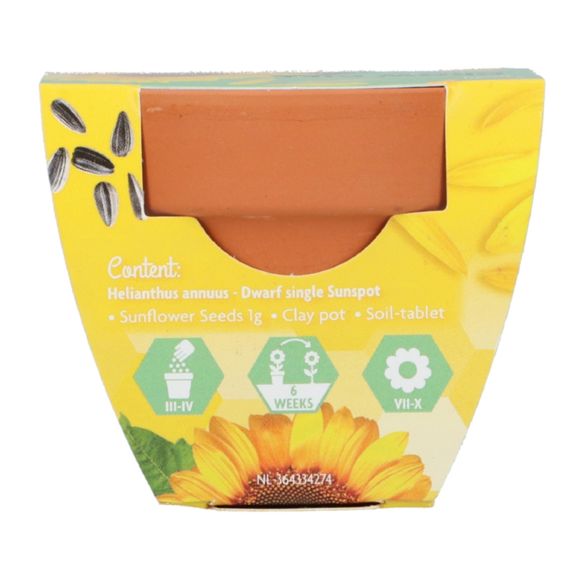 Mini zestaw do uprawy słonecznika – Buzzy Grow Gifts – Pieterpik