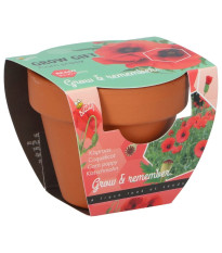 Mini zestaw do uprawy maku – Buzzy Grow Gifts – Pieterpik