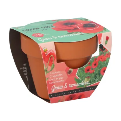 Mini zestaw do uprawy maku – Buzzy Grow Gifts – Pieterpik