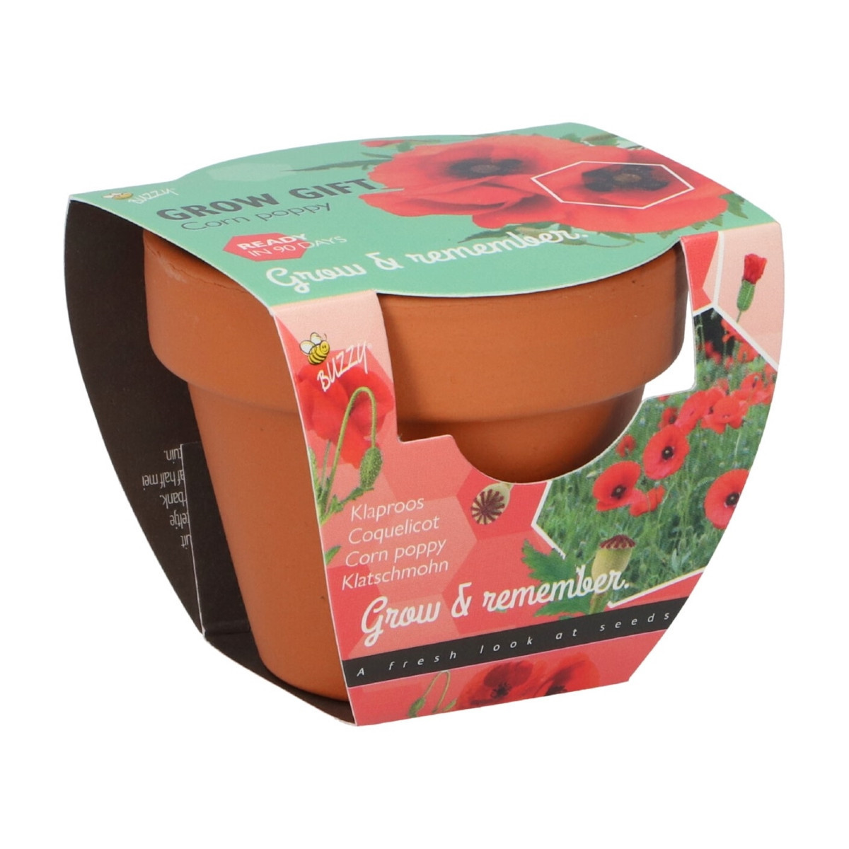 Mini zestaw do uprawy maku – Buzzy Grow Gifts – Pieterpik