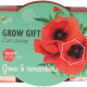 Mini zestaw do uprawy maku – Buzzy Grow Gifts – Pieterpik