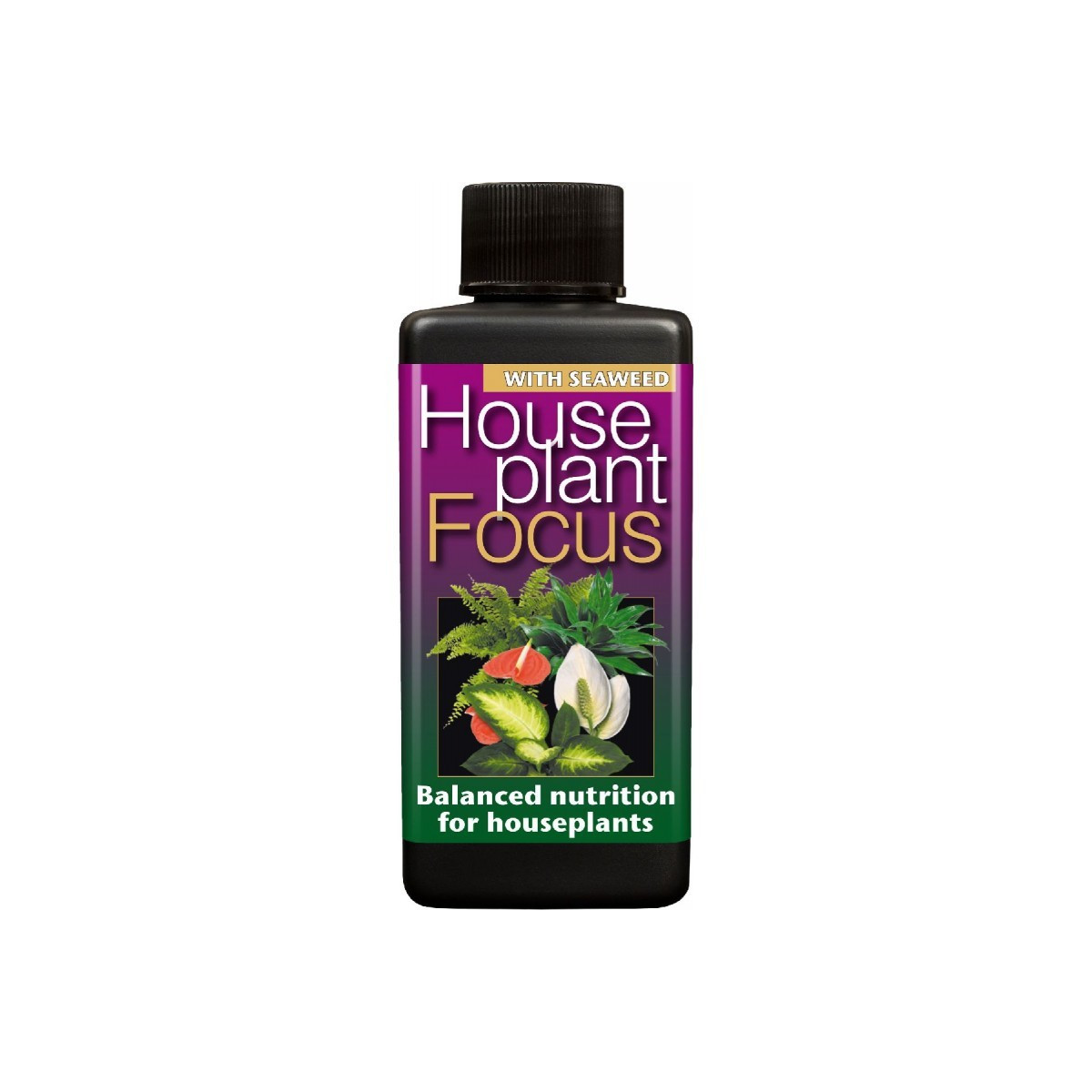 Hnojivo house plant focus - 100 ml
