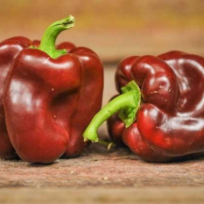 Paprika hnědá - Hnědá Kráska - Capsicum annuum - semena - 9 ks
