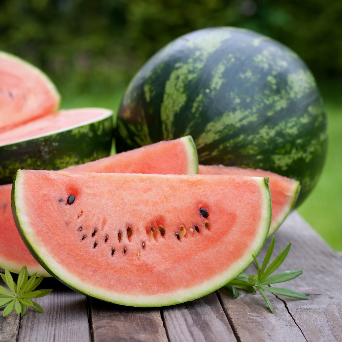 Meloun vodní Crimson Sweet - Citrullus lanatus Matsum et Nakai - semena melounu - 6 ks