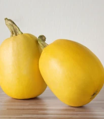 Tykev špagetová - Cucurbita pepo - semena tykve - 5 ks