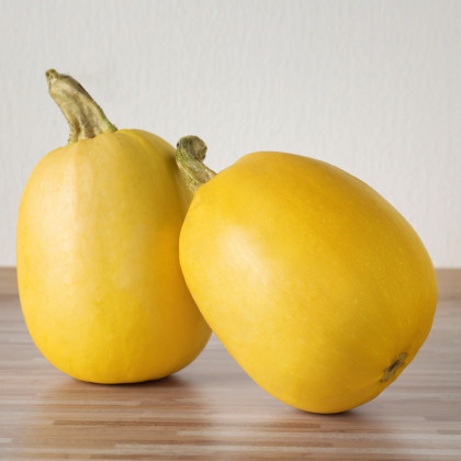 Tykev špagetová - Cucurbita pepo - semena tykve - 5 ks