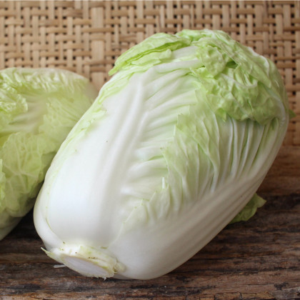 Zelí pekingské Granaat - Brassica pekinensis - semena zelí - 200 ks