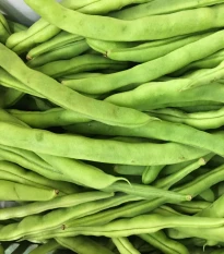 BIO Fazole keříčková Maxi - Phaseolus vulgaris - bio semena fazole - 20 ks