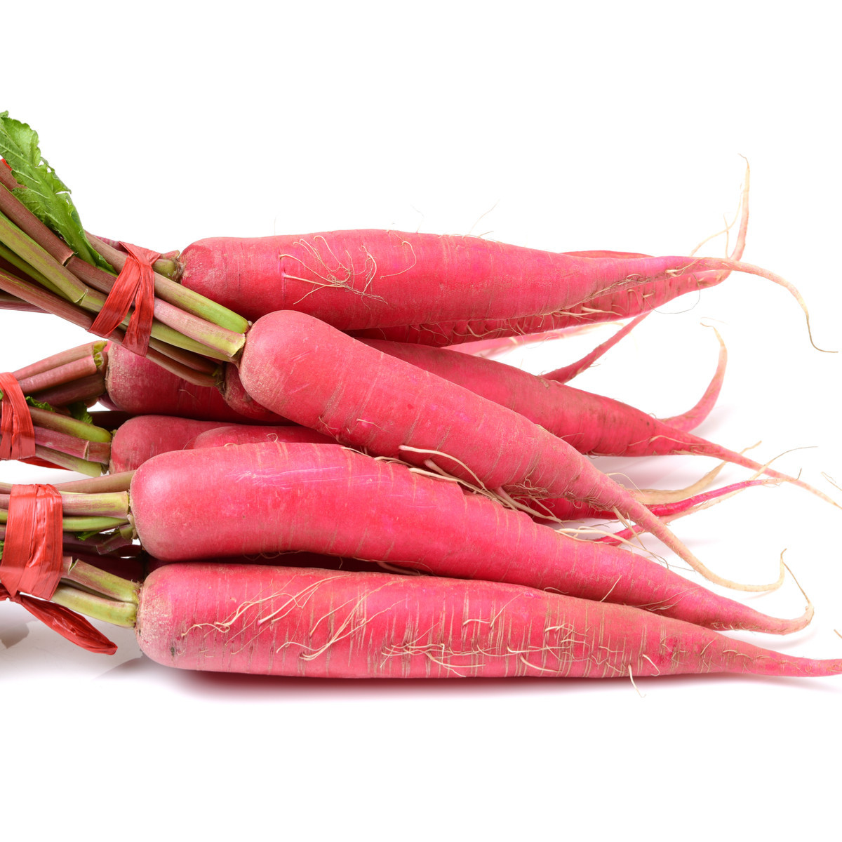 Ředkev Karmína - Raphanus sativus - semena ředkve - 45 ks