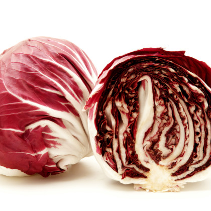 Čekanka salátová Palla rosa - Cichorium intybus - semena čekanky - 200 ks