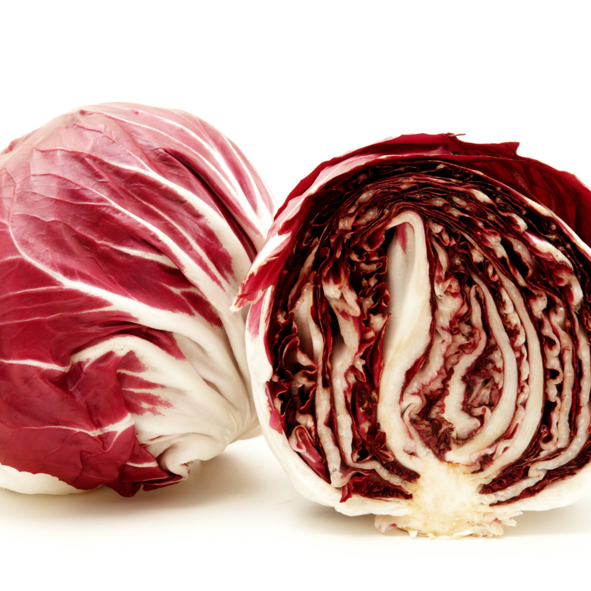 Čekanka salátová Palla rosa - Cichorium intybus - semena čekanky - 200 ks