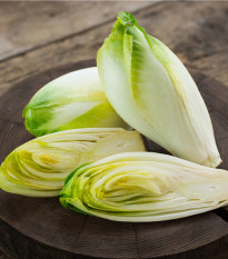 Čekanka salátová - Cichorium intybus - semena čekanky - 180 ks