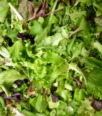 Mix orientálních salátů - semena salátu - 50 ks