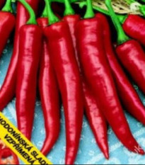 Paprika Hodonínská sladká - Capsicum annuum - semena - 0,6 g