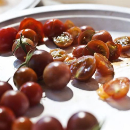 Rajče Brown berry - solanum lycopersicum - 6 ks