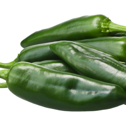 Chilli Ancho - Capsicum annuum - semena chilli - 6 ks