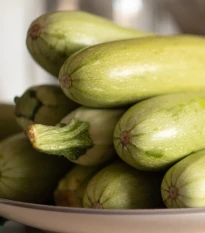 Cuketa Lungo Bianco - Cucurbita pepo - semena cukety - 6 ks