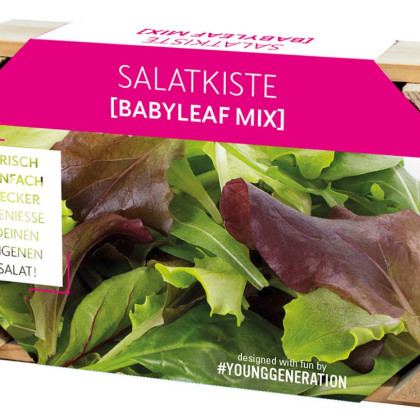 Pěstební sada na saláty s dřevěným květináčem - 1 ks